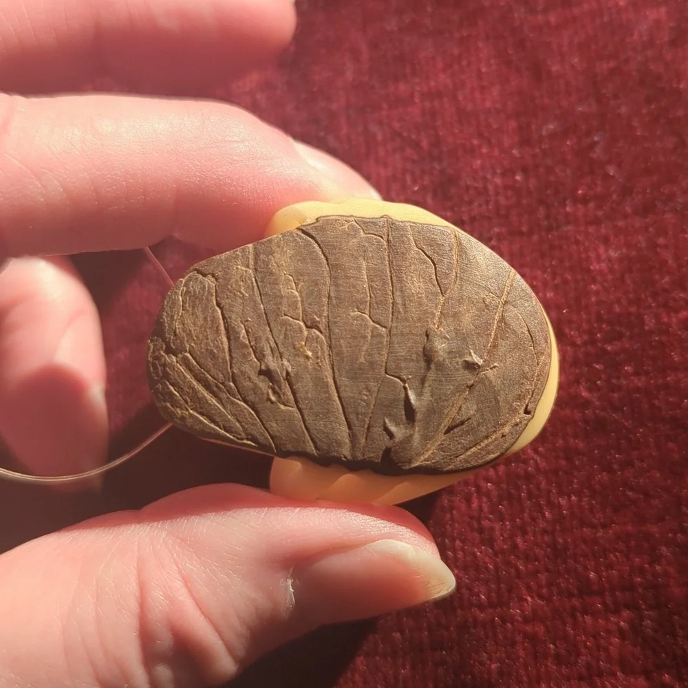 Tagua Nut Carved Lobster Crayfish - Picture 4 of 5